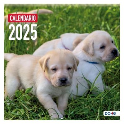 Dohe - Wall Calendar 2024 - Staple binding - Size: 30 x 30 cm - With perforation for wall hanging and Planning 2024 - Model Dogs