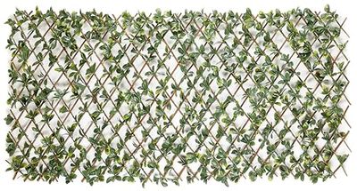 Garden Deluxe Bayberry dekoracyjne ogrodzenie chroniące przed wzrokiem na warunki atmosferyczne, do ogrodu i na balkon – regulowany rozmiar i izolacja akustyczna, 100 x 200 cm