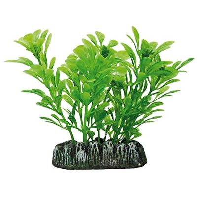 ICA AP1029 Samolus Aquatic Plants Plastique