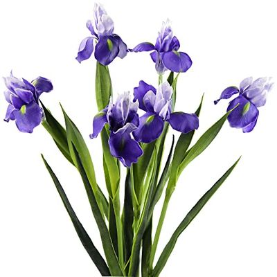 FiveSeasonStuff Iris Flower | Flowers Artificial for Decoration | Wedding Bridal Home Kitchen Party Décor | 6 Real Touch Long Stems (23.6'') | Real Looking Flower Arrangements | Violet Purple