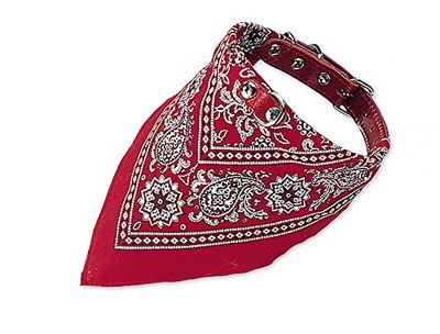 Nobby Collier avec Foulard pour Chien Rouge 65 cm