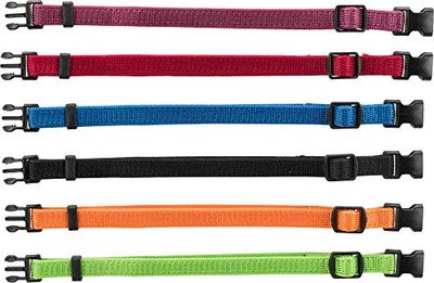 TRIXIE Junior puppyhalsband maat S - M: halsomtrek 17-25 cm/10 mm in zwart, rood, koningsblauw - kleine hondenhalsband voor kleine tot middelgrote honden, set van 6 om te wennen, 15551