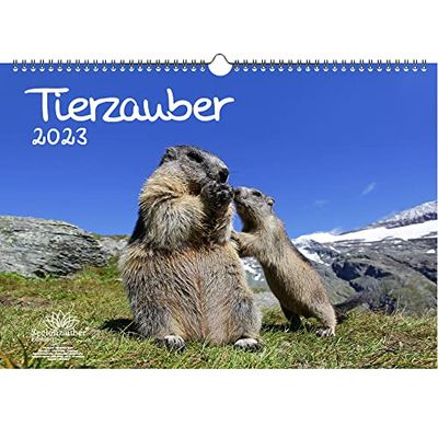 Dierenmagie A3 kalender voor 2023 verschillende dieren - Seelenzauber