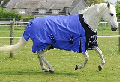 Rhinegold Elite Storm Tapis (avec Housse de Cou) Poids Moyen 200 g/m², 0, Saphire, 6'6"