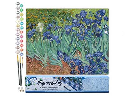 Figured'Art Peinture par Numéro Adulte Van Gogh Iris - Activité Manuelle Kit de Loisir Créatif DIY Numéro d'Art Complet - 40x50cm sans châssis en bois