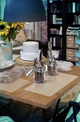 d-c-fix manteles individuales Rio Ben blanco transparente - lavables antimanchas plastico PVC - tapetes para mesa salvamanteles bajoplatos mantelitos - 29 cm x 44 cm rectangular