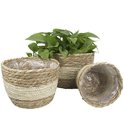 La Jolíe Muse sjögräs planteringskärl korg inomhus, blomkrukor skydd, växtbehållare, naturlig beige (3-pack) 26 22 16 cm