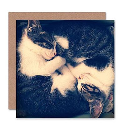 Wee Blue Coo CARD GREETING TWO SLEEPING KITTENS YIN YANG