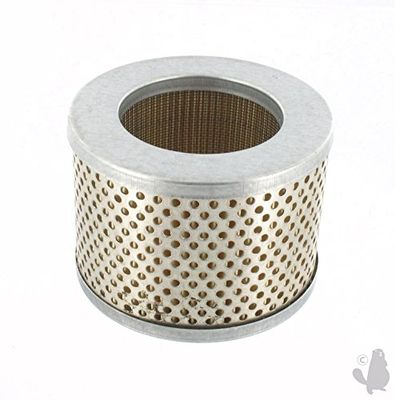 Greenstar 28748 luchtfilter (f3368)