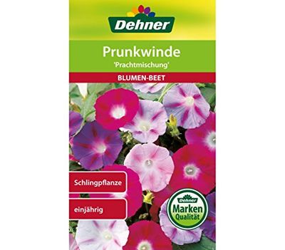 Dehner - Sementi per Fiori, verricello, Miscela di prugne, Confezione da 5 (5 x 2,5 g)