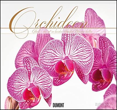 Orchids 2023 - Dumont Wall Calendar - with the Most Important Holidays - Format 38.0 x 35.5 cm