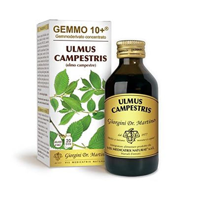 Dr Giorgini Integratore Alimentare, Olmo Gemmoderivato Concentrato Liquido Analcoolico - 100 ml