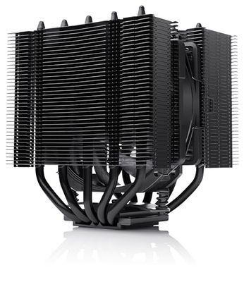 Noctua NH-D12L chromax.black, Low-Height Dual-Tower CPU Cooler (120mm, Black)