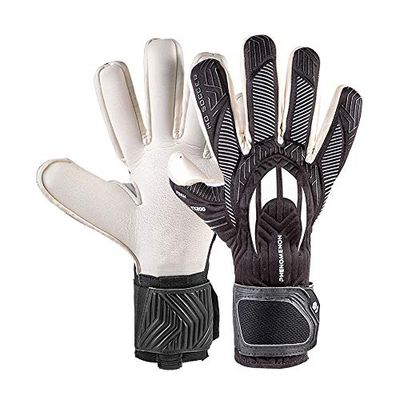 PHENOMENON PRO NEGATIVE BLACKOUT