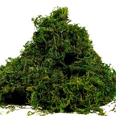 Farmoo Künstliches Moos zum Basteln, künstliches grünes Moos für Topfpflanzen, Tafelaufsätze, Dekoration (100 ml)