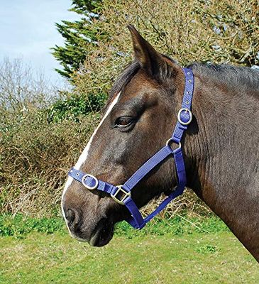 Rhinegold nylon huvudkrage Kungsblå Shetland