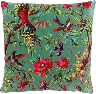 Riva Paoletti Paradise Plaza almofada Aqua Blue pássaro colorido impressão em veludo tecido lavável na máquina 100% algodão 50 x 50 cm, água, 50 x 50 cm (20 x 20 ")