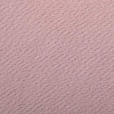 Clairefontaine – Ref 93883C – Etival färgat kornigt ritpapper (paket med 25 ark) – A4 (29,7 x 21 cm) – 160 gsm cellulosa konstpapper – djuprosa – syrafri, pH-neutral