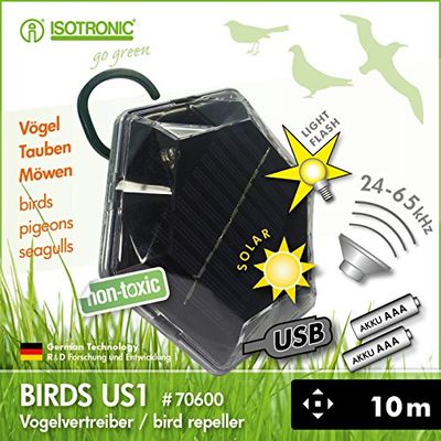 US1 Cats + Birds