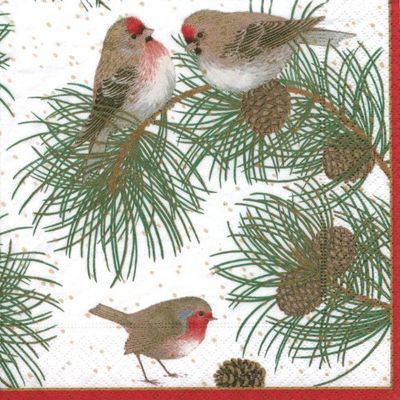 Caspari 12090C Woodland Birds Lot de 20 Serviettes Cocktail Tissu/Papier Multicolore 12,5 x 12,5 x 0,02 cm