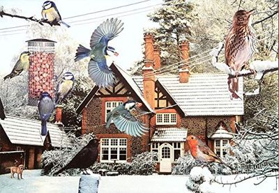 House of Puzzles 1000 Piece Jigsaw Puzzle - Bird's Eye View In Winter Garden