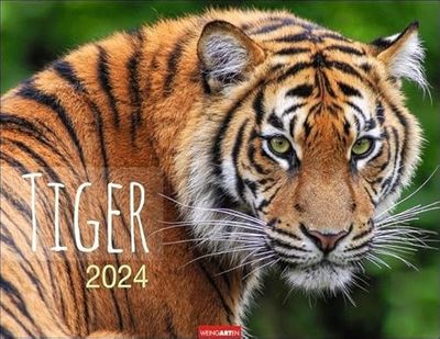 Calendario Tiger 2024