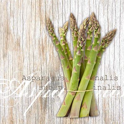 Nouveau Asparagus Paper Napkins, Multi-Colour, 33 x 33 cm