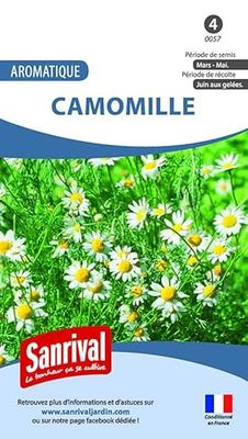 Sanrival Camomilla