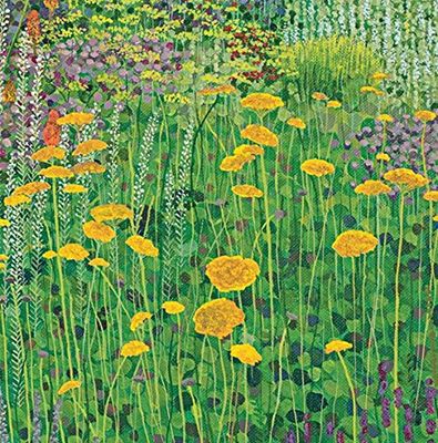 Susan Entwistle Art Carte de vœux Achillée, 15 cm x 15 cm, Multicolore, Lot de 6