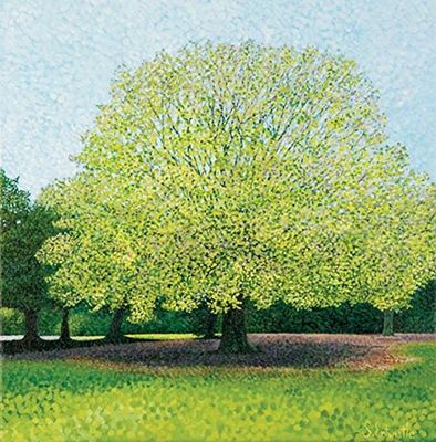 Susan Entwistle Art Carte de vœux en hêtre Feuille de fougère, 15 cm x 15 cm, Multicolore, Lot de 6