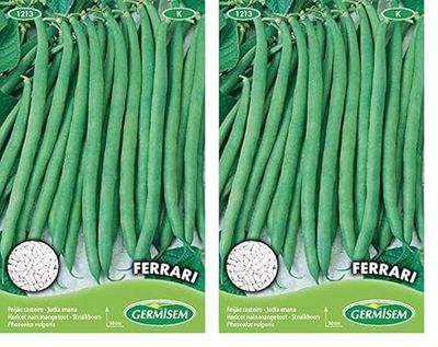 Germisem Ferrari Graines de Haricots Français 100 g EC1213 Multicolore (Lot de 2)