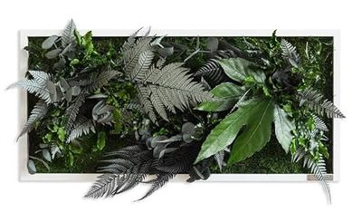 styleGREEN Cuadro de Plantas en diseño de Selva 57 x 27 cm Madera Maciza (Blanco)