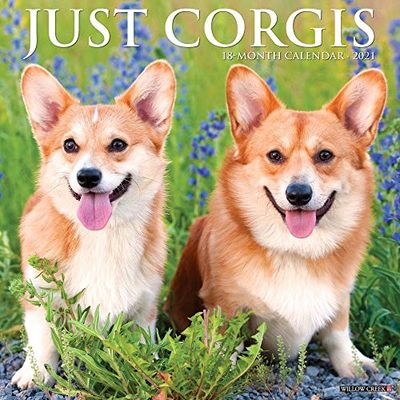 Just Corgis 2021 Calendar