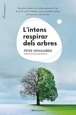 L'intens respirar dels arbres