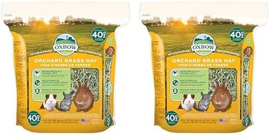 Orchard Grass Heno para Mascotas pequeñas Oxbow, 1,13 kg (Paquete de 2)