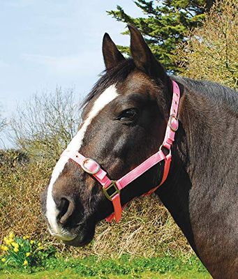 Rhinegold Nylon Headcollar-Shetland-Pink Cuello, Rosa