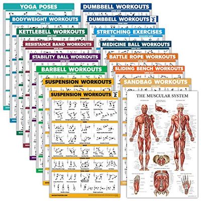 Palace Learning Set da 16 poster per esercizi: manubri, sospensioni, kettlebell, bande di resistenza, palla medica, corda da combattimento, stretching, peso corporeo, bilanciere, yoga, palla per