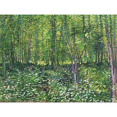 Vincent van Gogh Bomen en kreupelhout Grote kunst aan de muur Print Canvas Premium Poster Muurschildering