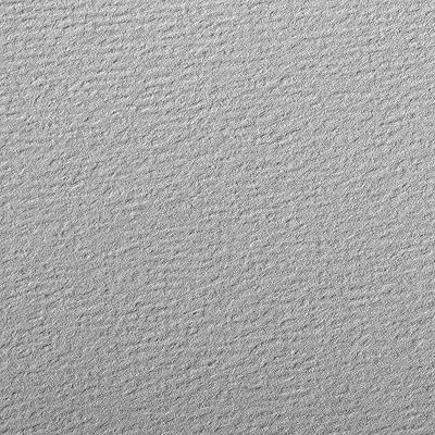 Clairefontaine – Ref 93867C – Etival färgat kornigt ritpapper (paket med 25 ark) – A4 (29,7 x 21 cm) – 160 gsm cellulosa konstpapper – grå – syrafri, pH-neutral