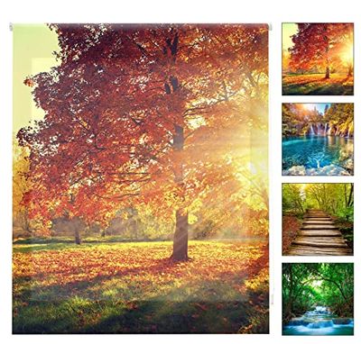 Blindecor Paisagens digitais, Estore de rolo translúcido com impressão digital, 110 x 180 cm (largura por altura), tamanho do tecido 107 x 175 cm, estantes para janelas