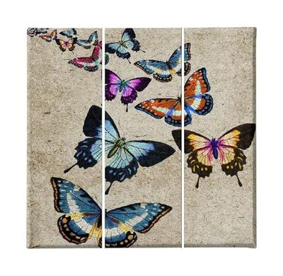 Homemania Tableau Butterfly - 3 Pièces - Animaux - du Salon, de la Chambre - Multicouleur en Polyester, Bois, 69 X 3 X 50cm - HM203PKNV-171