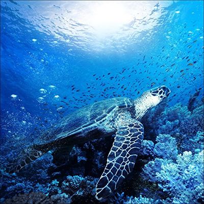 Pro-Art-Bilderpalette gla1079b décoration Murale sous Verre Motif mer 'Blue II'50 x 50 cm