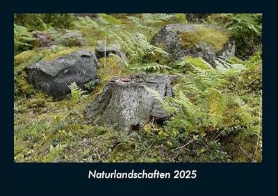 Naturlandschaften 2025 Fotokalender DIN A4: Monatskalender mit Bild-Motiven aus Fauna und Flora, Natur, Blumen und Pflanzen
