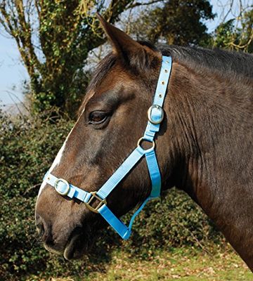 Rhinegold Nylon Hoofdkraag -X Full - Baby Blauw