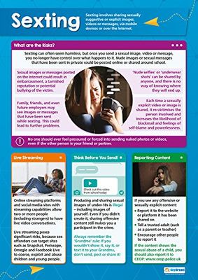 Sexting | Glansigt papper som mäter 850 mm x 594 mm (A1) | Datalagor för klassrummet | Utbildningstabell från Daydream Education