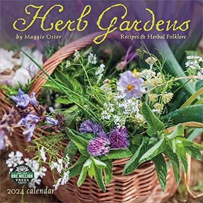 Herb Gardens 2024 Calendar: Recipes & Herbal Folklore by Maggie Oster