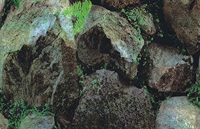 MARTY Acuario Backgound Plantas/Rocas Hobby