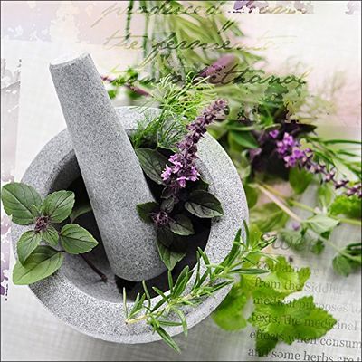 Pro-Art-Bilderpalette gla448a Herbage Pestle II - Cuadro de Cristal (30 x 30 cm), diseño de mortero con Hierbas aromáticas