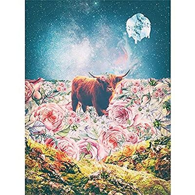 Wee Blue Coo Skotsk högland hårig coo trippy psykedeliskt landskap rymdkonst tryck