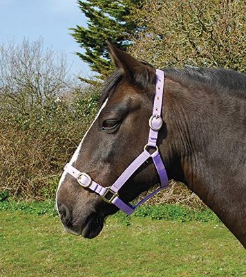 Rhinegold Nylon Headcollar-X Full-Lilac Collar para Cabeza de Nailon, Color Lila, Unisex Adulto, Extra Grande